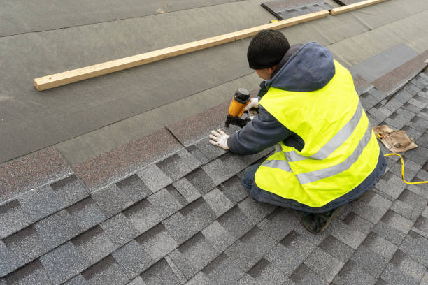 Roof Insulation Installation in Homestead Meadows North, TX